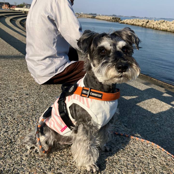 F5e48526 4c75 4d30 9b76 f1e176a9af96 1745632680817