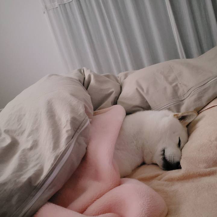 F5e4936f 2bf9 439d 8644 0bc78b6017ec 1549717475763