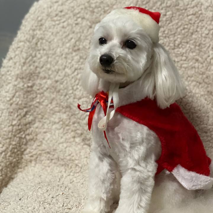 F5e4cc81 ee95 4b49 9967 a7b16ff681a4 1608711295039