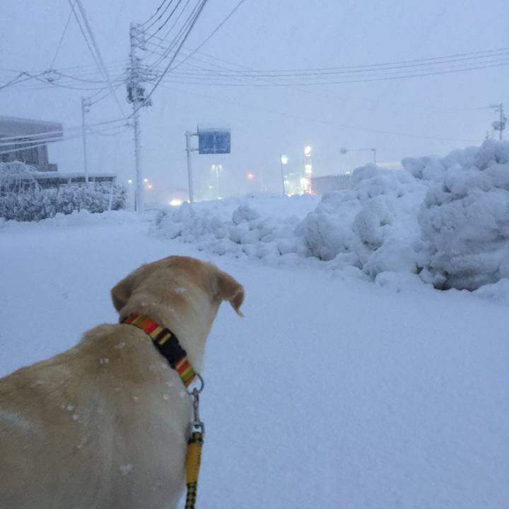 F5e4d2c8 62c3 4b87 acb4 6f22b9954c95 1736168926634