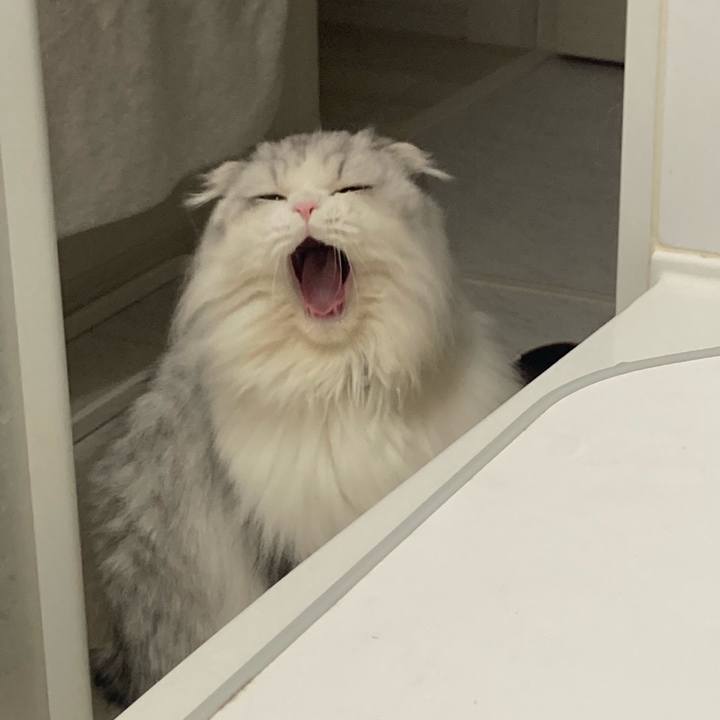 F5e4d8a9 a19a 424f b529 0f095b397a11 1637668654379