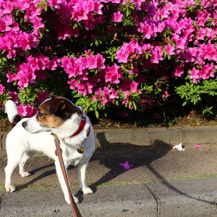 F5e5059b 5278 4483 b671 efdcc9cd96a6 1557130962276