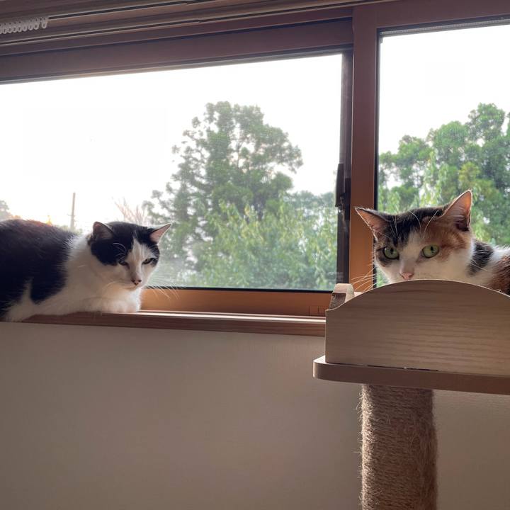 F5e51886 3cb1 4c1d 8384 1927606c1e1a 1660571222844