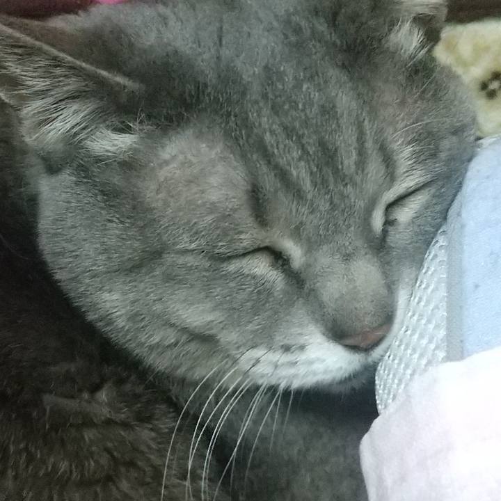 F5e5308c 5f6a 42af aae5 b04e8cf43e8d 1645899380248