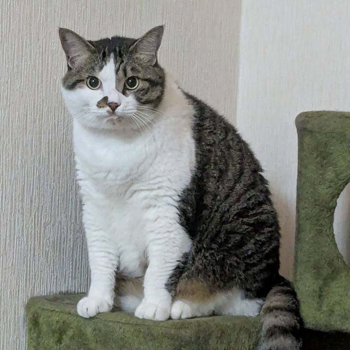 F5e53d88 1cf5 4acc a143 f5ce0135a21a 1754083632116