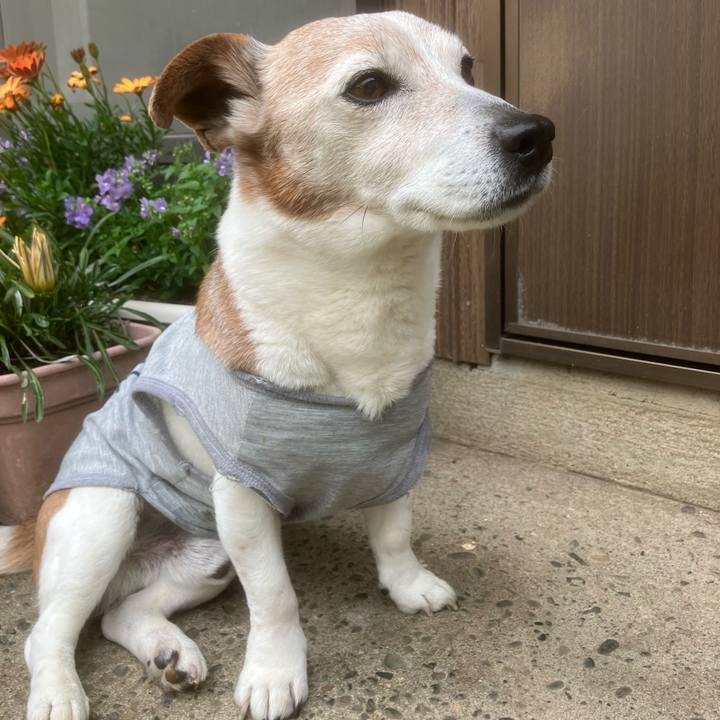 F5e54fed 2b0b 4564 9938 1ebd58777fc5 1775781965317