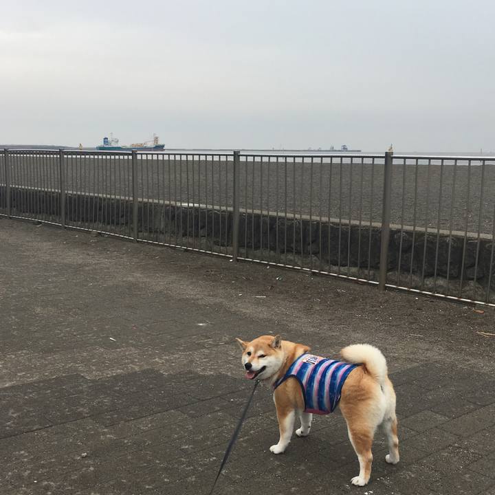 F5e59182 a58d 423c 8c18 17af12439a96 1562831795256