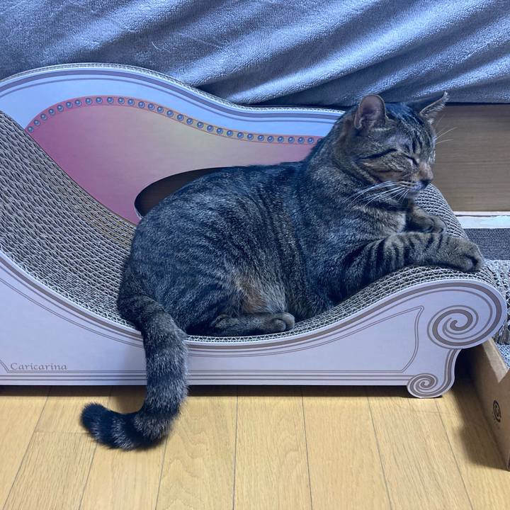 F5e5a35d df4d 4f46 a7af 070d754b1d0f 1665624269304