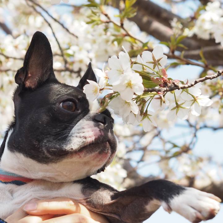 F5e5dd57 07ae 4988 a092 6afa11b01a3b 1647065599179