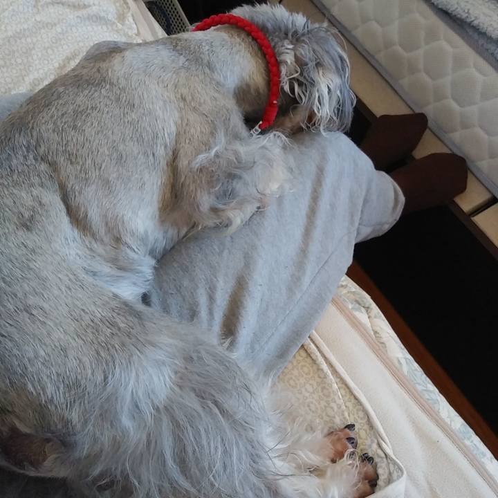 F5e5f4d4 b1fa 458b a989 cafcc71afd63 1672889527646