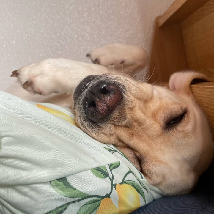 F5e62803 3673 483e 8fb1 b6e7ebacb2f4 1696302454690