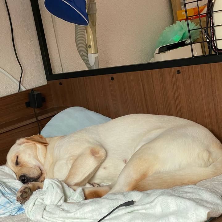 F5e632e5 cafb 41b2 a567 4483674bbabc 1657979096426