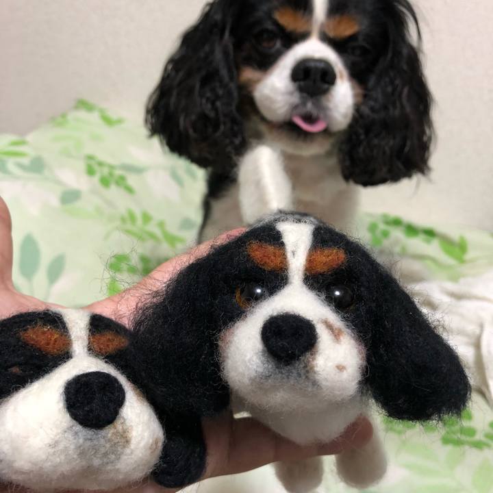 F5e638b0 52cc 4385 b109 7e8168281934 1533730303471