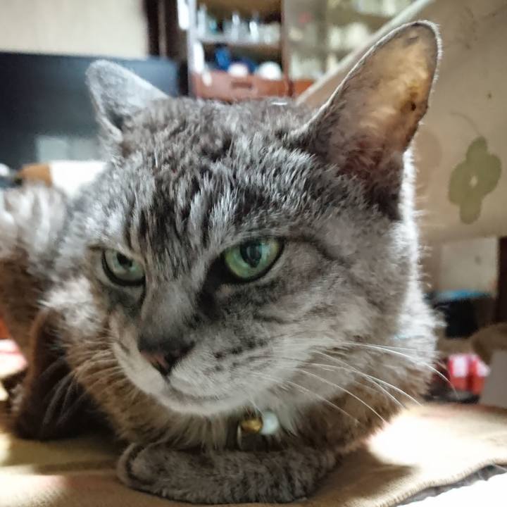 F5e64953 344d 4e36 a4e3 d948991e6094 1568106172753