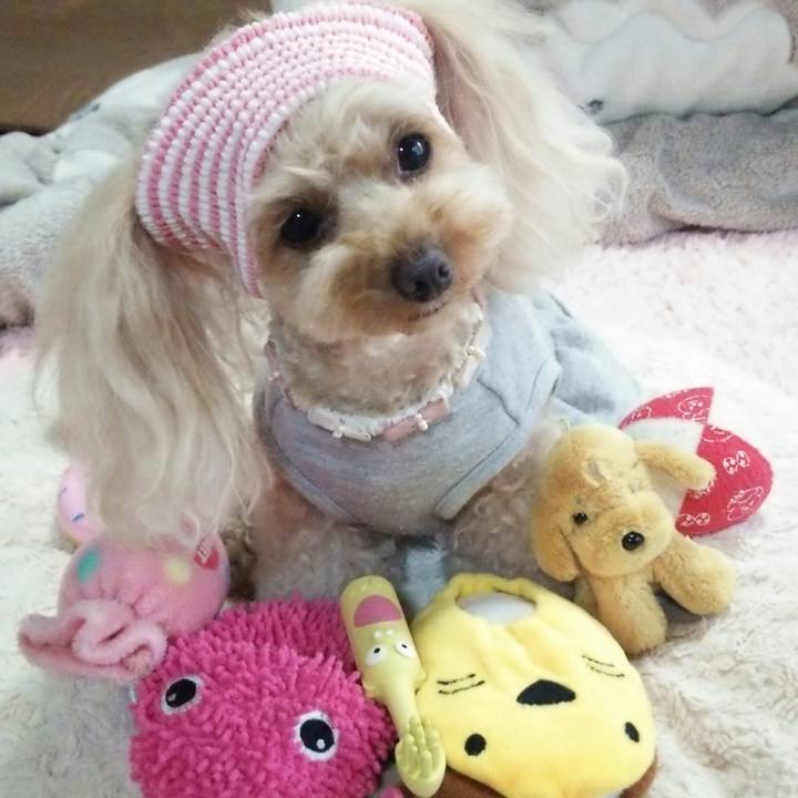 F5e68a81 483f 423b 8983 3f65d7a7121a 1524654461510