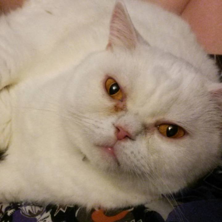 F5e69d59 2e65 4991 a586 48e8849e4d94 1588518040997