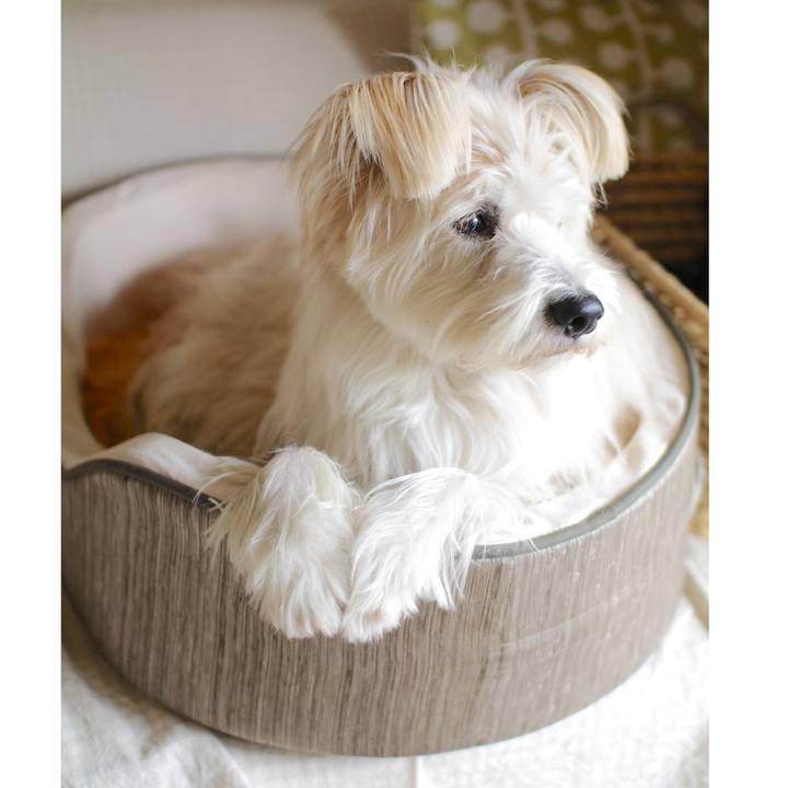 F5e6ce4d 1ec9 488d 8139 9bf5f53ecde3 1555214983183