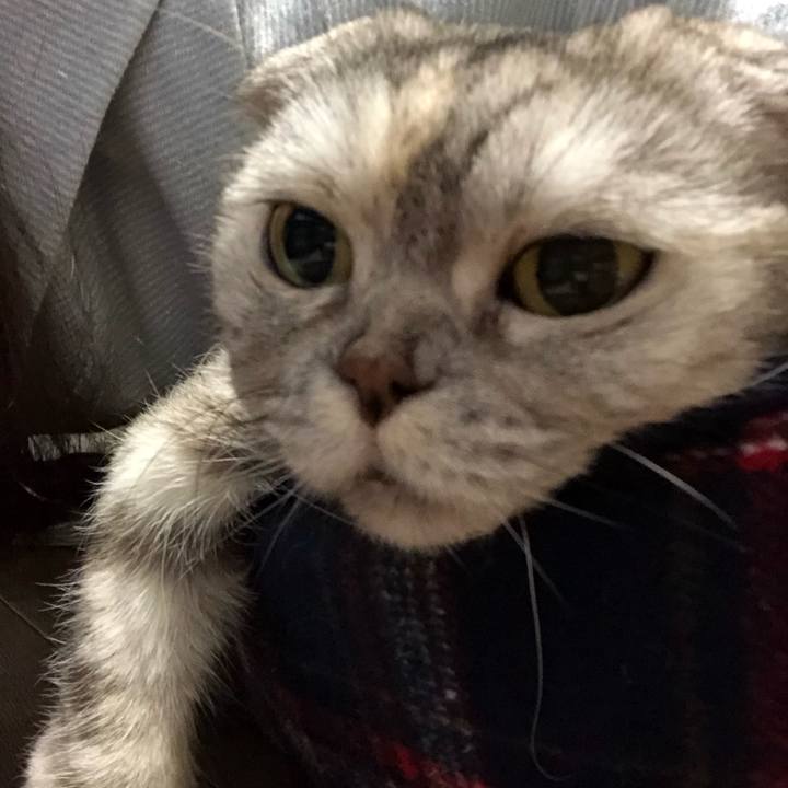 F5e6ede1 dfb0 4b1d a95f 4d0a2daa2947 1644967788433