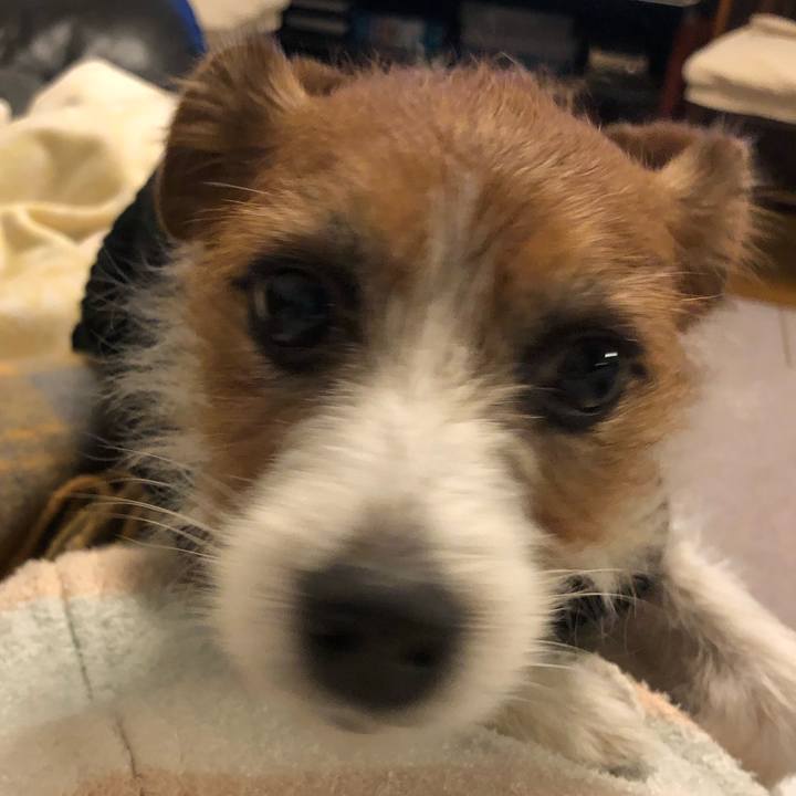 F5e6fc5d bb80 4436 848b 4de29aad4615 1577007526701