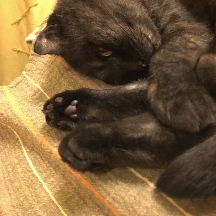 F5e70cb1 8061 4cb6 9b05 b18f51e2b83b 1535819108585