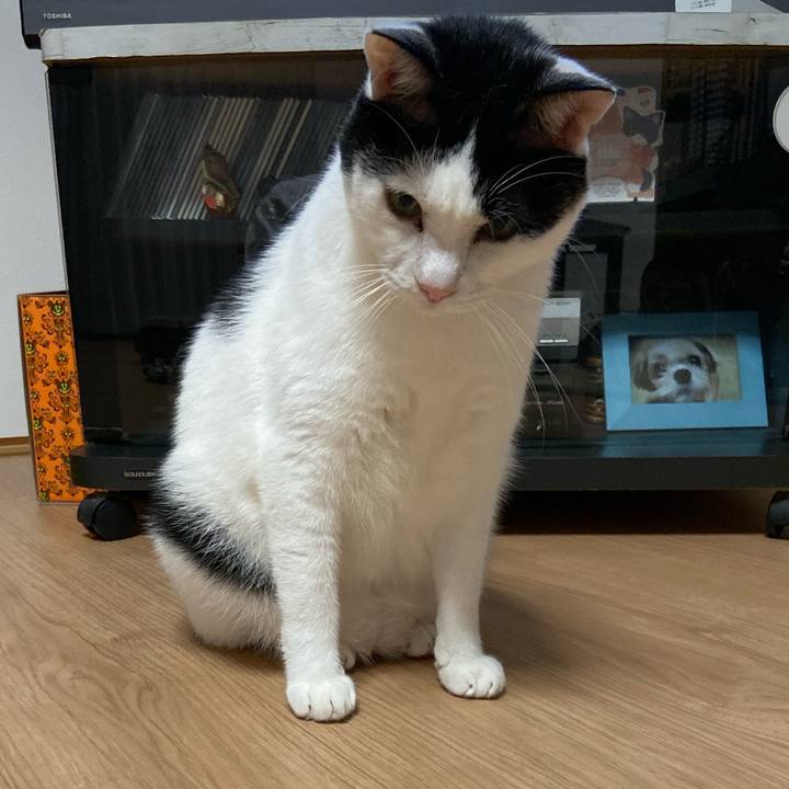 F5e7152a 10fd 4248 8c80 69f2991723d3 1572085062288