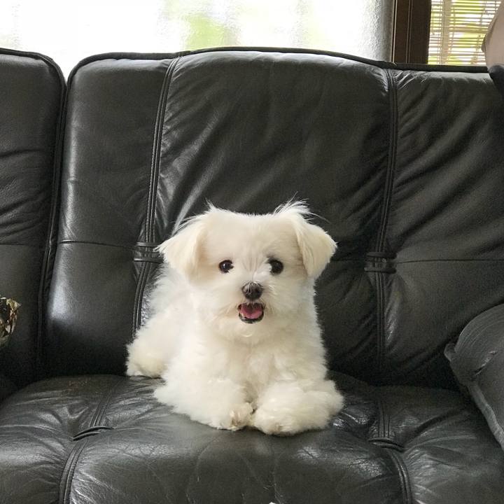 F5e71c75 f4b3 4c5d 8aeb 77db751bdf65 1532745510950