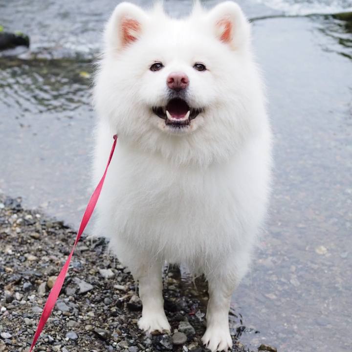 F5e77388 9664 48a3 93f4 3dc594c183d0 1662274002199