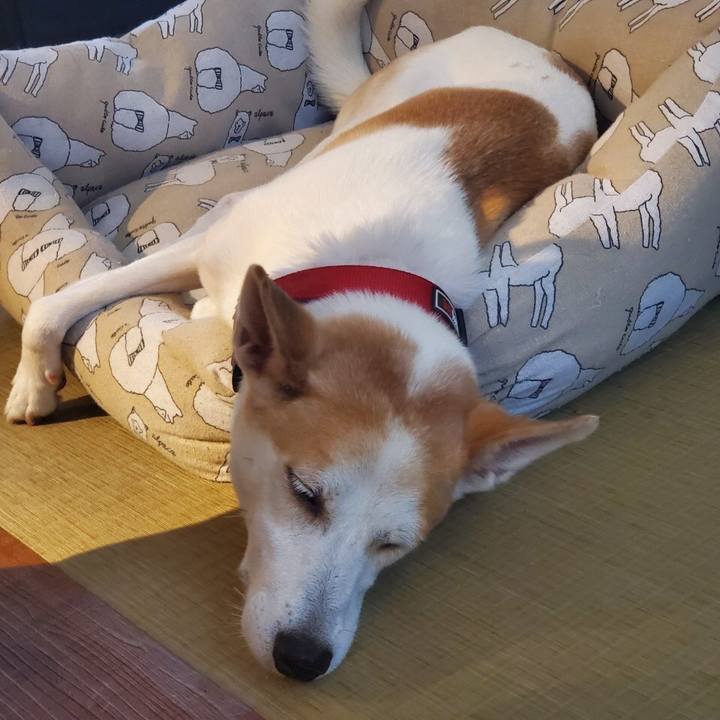 F5e78500 73a1 4008 89cf 826ef9b51a2a 1599143333959