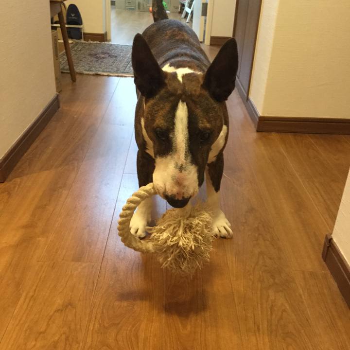 F5e7a28a b055 4735 a6a6 00b2545e47fc 1622374273671