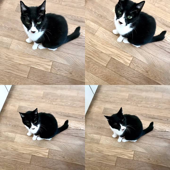 F5e7b40a 7656 44d7 9a2b 76e298481337 1554340792727