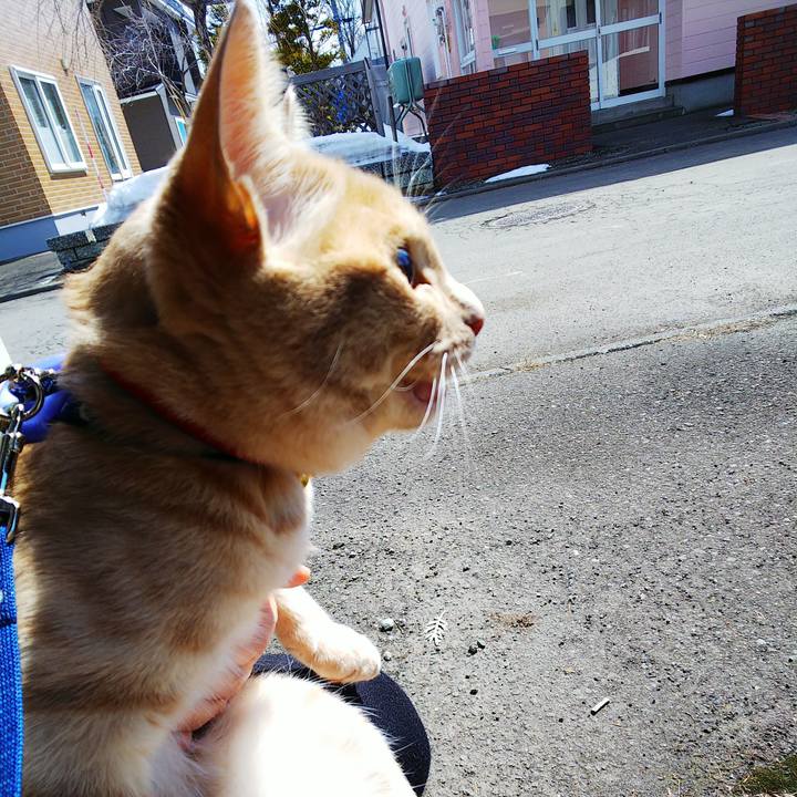 F5e7b809 1f4c 41e7 bead 9c06bfbed996 1553993466871