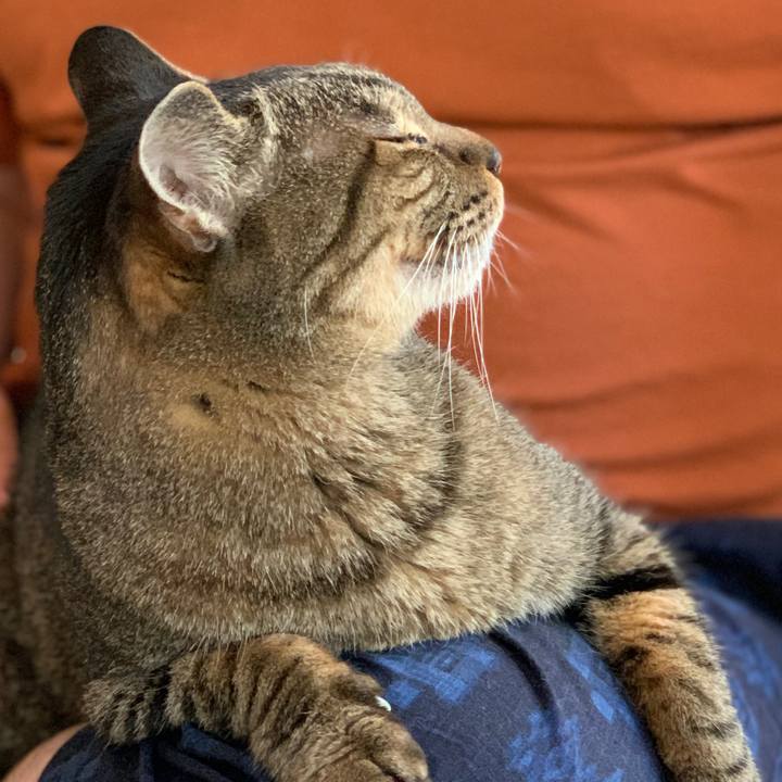 F5e7e3ce cba1 411a a577 f19d96e58bd6 1597194289971