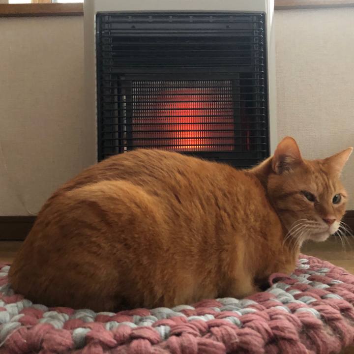 F5e7ed08 7fcf 4ffa 9691 18ae7d0c288e 1700864037727