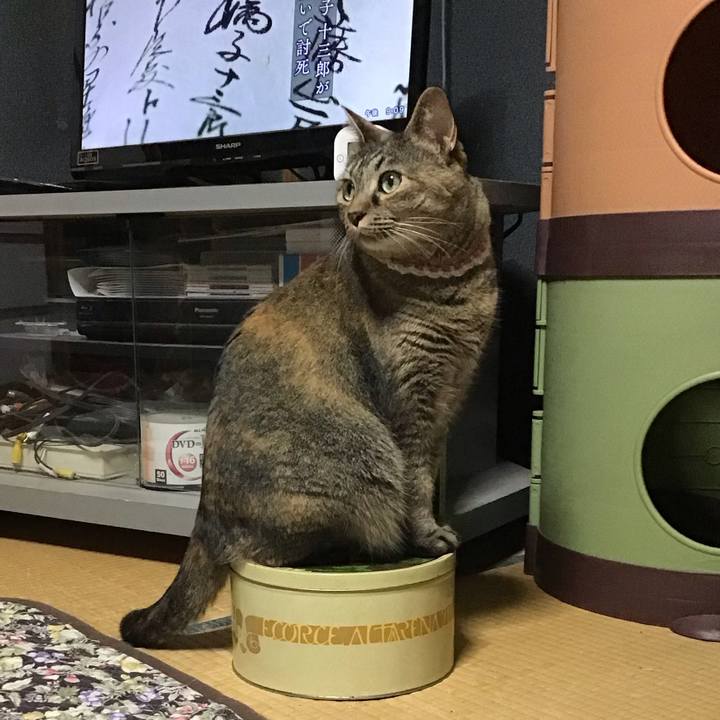 F5e7f520 214a 47c3 90ab 4eb288a97fe2 1719836299351