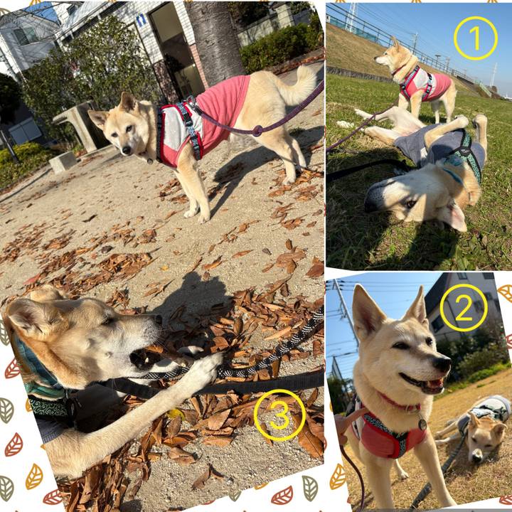 F5e7fe67 947a 49a4 81b3 f5f81d87c343 1764227798123