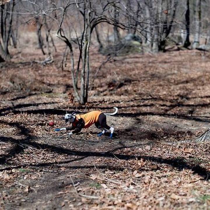 F5e8113d ab2d 40e2 97d3 57acdc3deee4 1524400059166