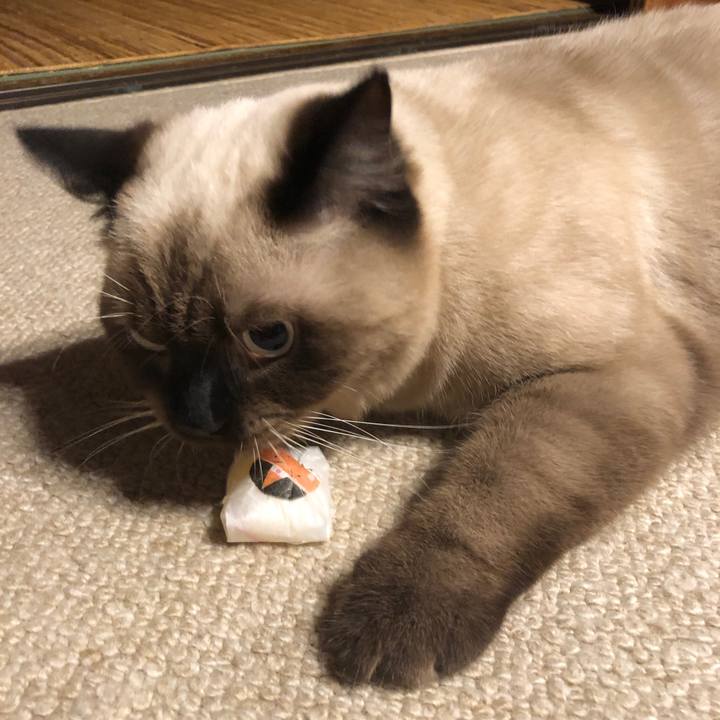 F5e8222d a0f0 4a82 863e 9cf9cc3f82f9 1600218257631