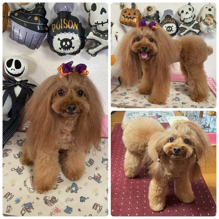 F5e8302c 6809 44d8 960f d1f7bff7c5c3 1761207523189