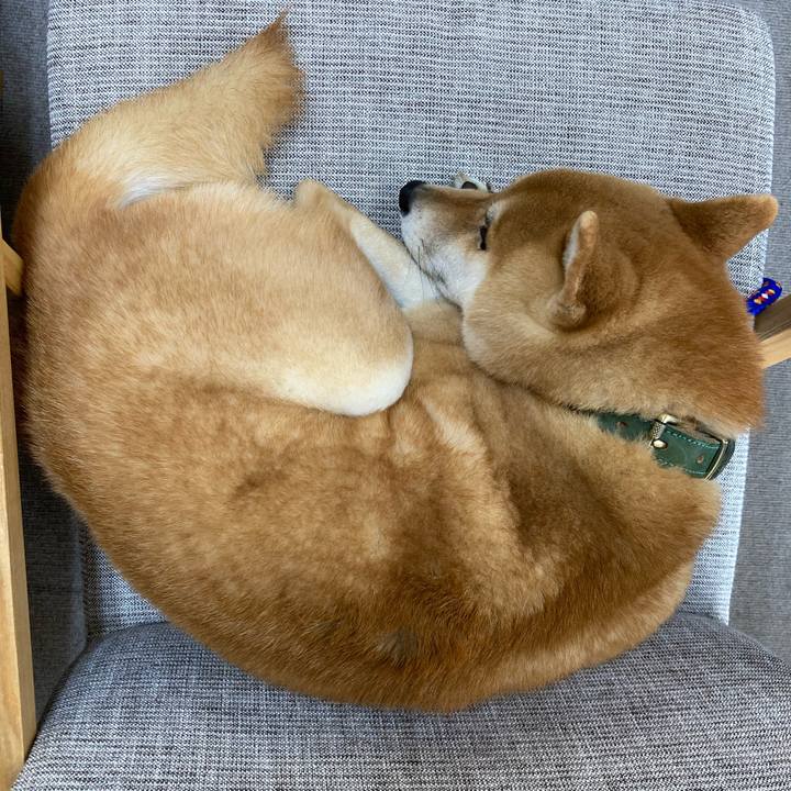 F5e86e55 be78 4fae a687 5dfa1164cfc8 1615356172388