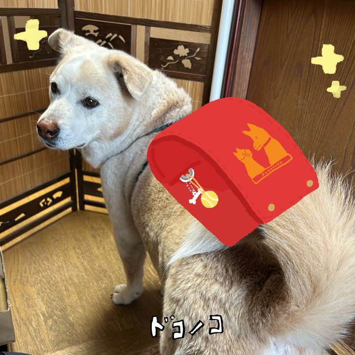 F5e88ba7 3e84 4f4a 823a bce0f33c90eb 1744290152951