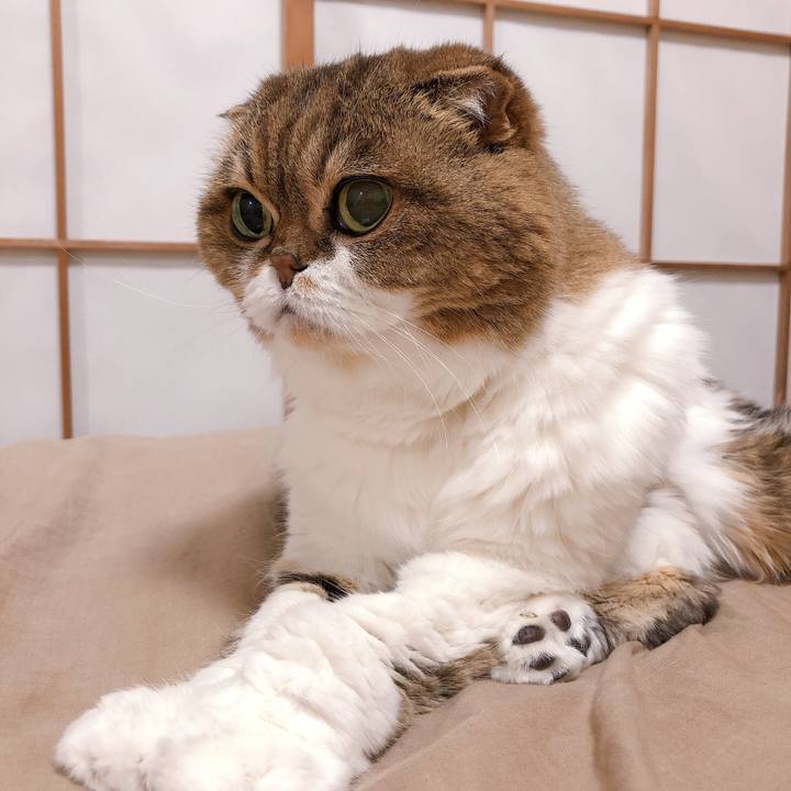 F5e8eb38 09c2 45e9 beb5 38b89c9e3bbf 1621309351668