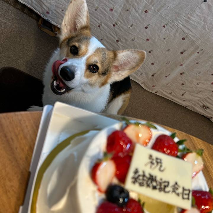 F5e8edc3 8527 4970 b046 0ff92bc0ec4b 1772884799868