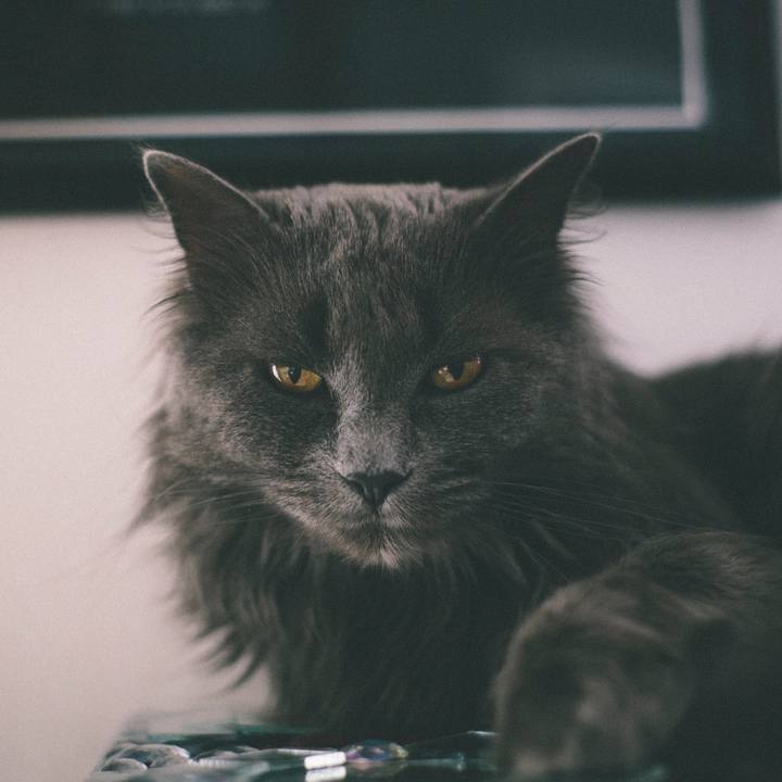 F5e92e0d d7ca 4d59 a194 b3a94f5c67ab 1623040669079