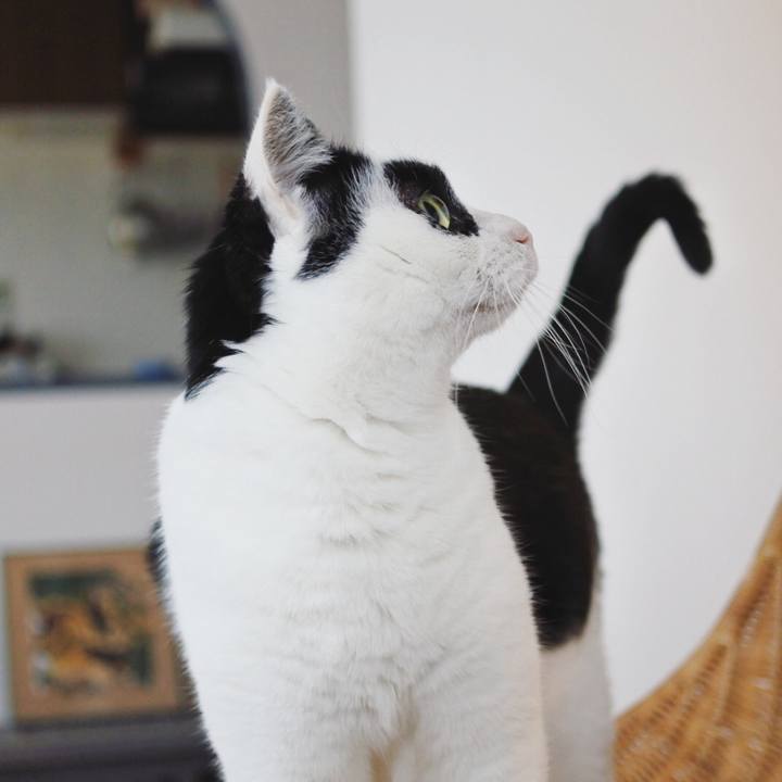 F5e95237 81ad 4d8b 839b a0d426da4f7c 1583513160687