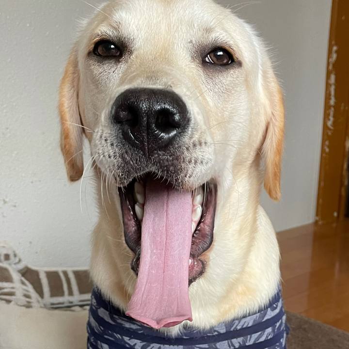 F5e9974f 83cc 45f4 b351 e48077048b1c 1625469756437