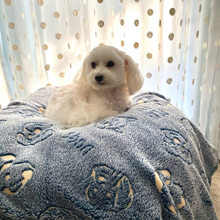 F5e99a3d 4f89 474e 9470 9e11a5d4c38d 1611558903967