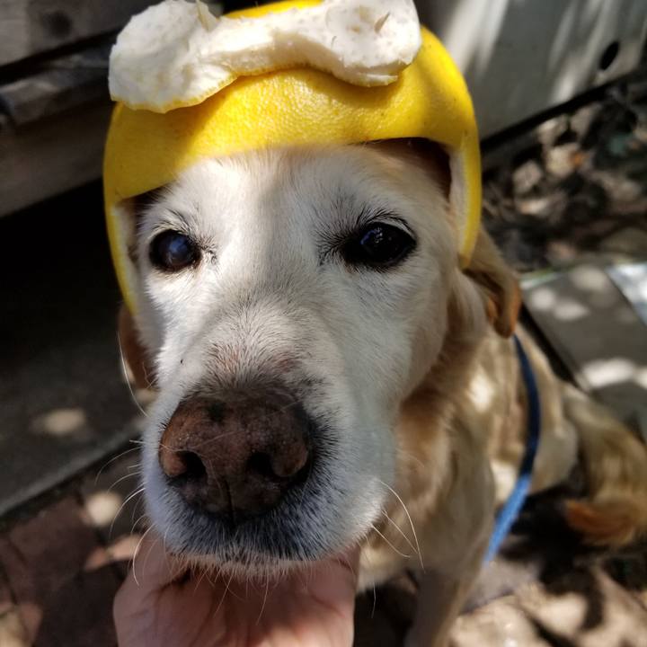 F5e9b5e4 4089 4aee 9330 43e656683916 1758744675578