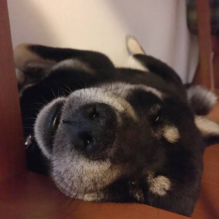 F5e9faa7 8496 4390 ad2a d6f46796b7a7 1556633920972