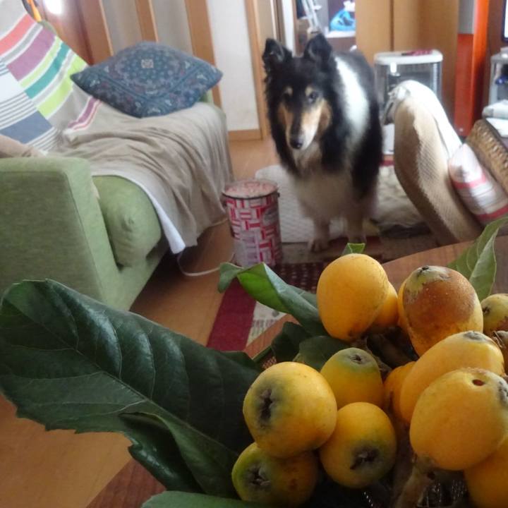 F5ea0841 bbca 4f75 b42a 4e2070ad03ba 1591793573183