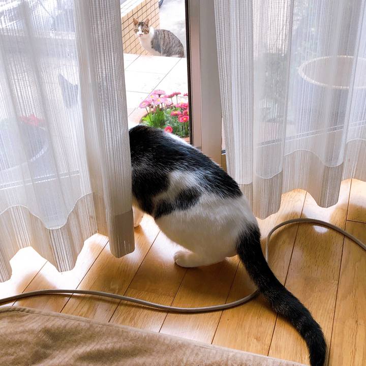 F5ea1d5b b618 4af8 aafa 8853bb027739 1618271452944